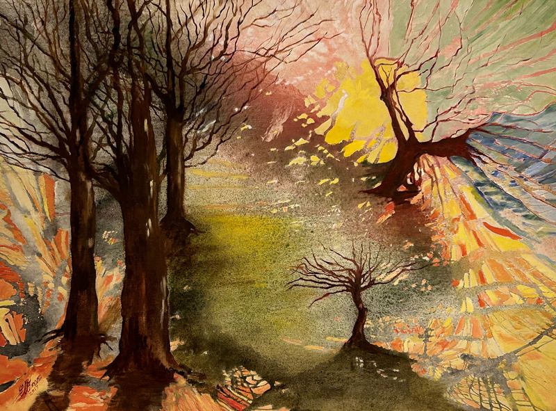 Autumn Light in the Woods