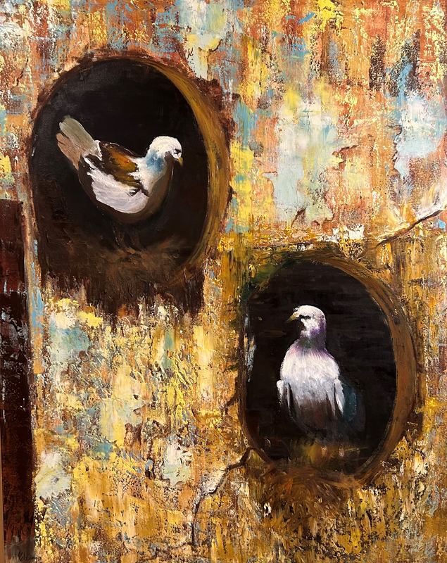 Pigeons in the Wall