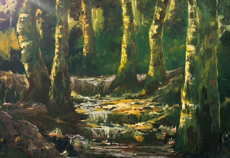 Sunlit Forest Stream